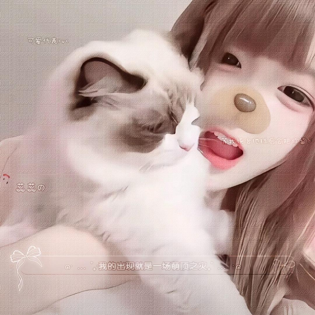 森森控