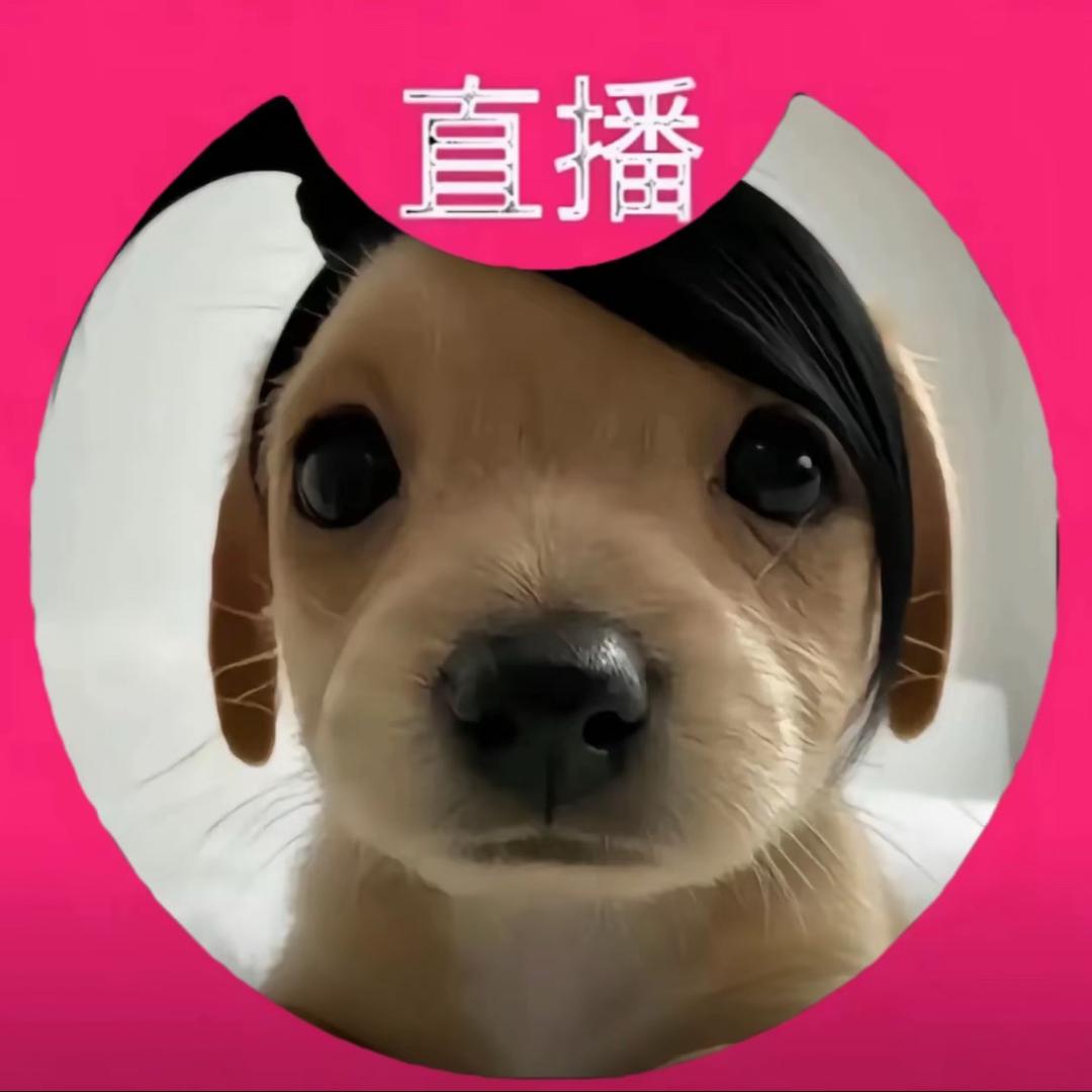 梨花诗