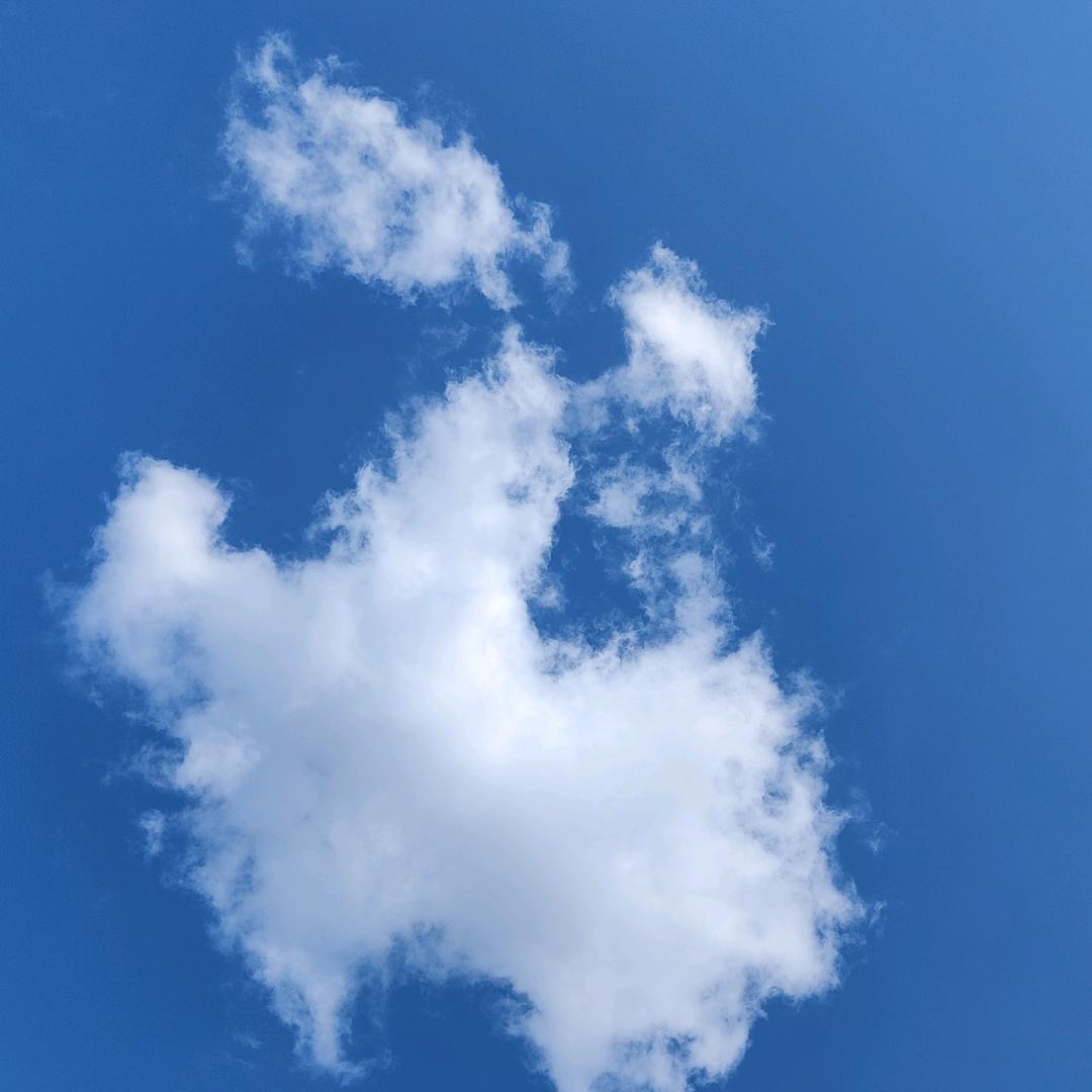 江清明城