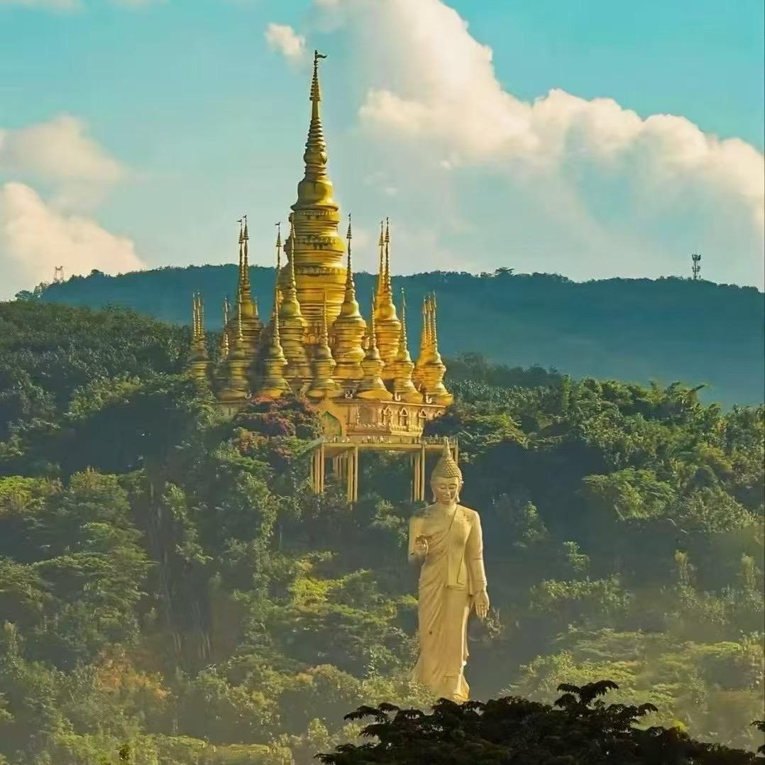 ꧁༺僵小鱼༻꧂