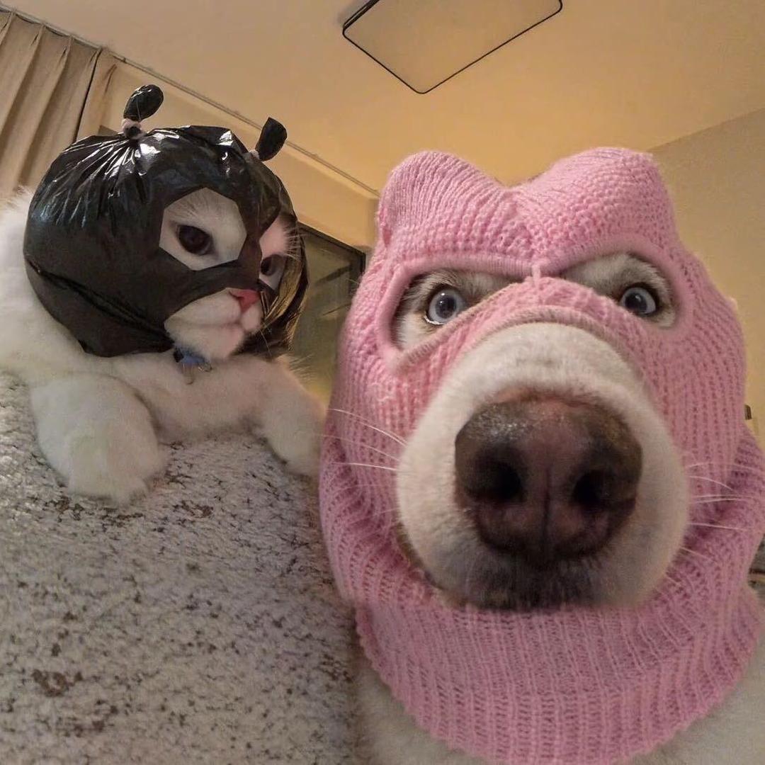 夙流光（酸角粥行动）