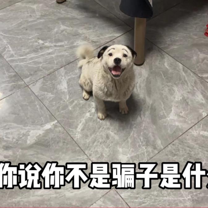 八嘎和俩兄弟