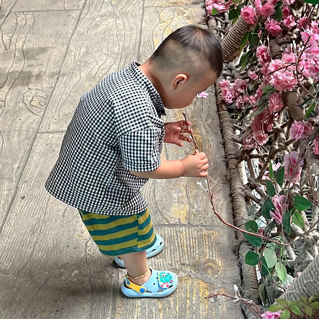 阿羽-