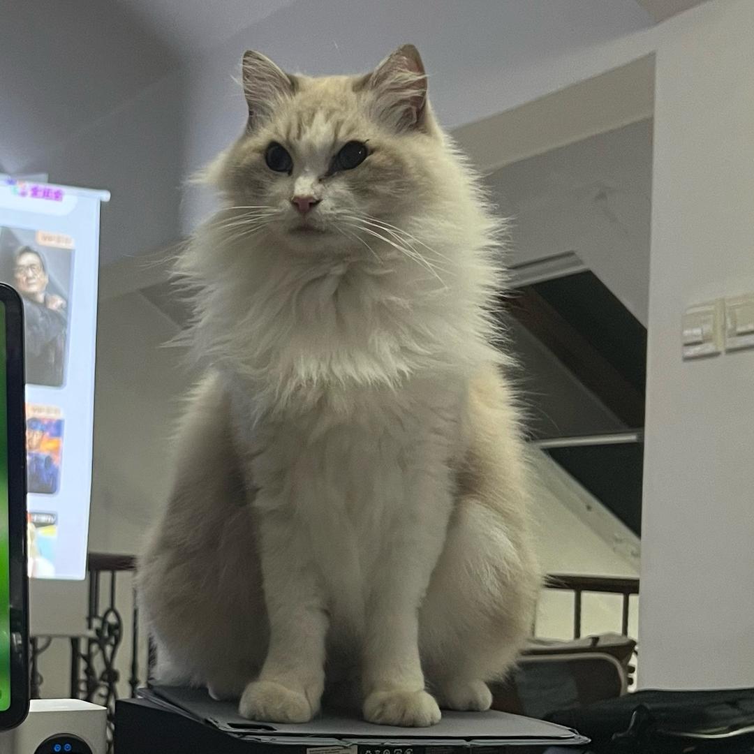 乱字码