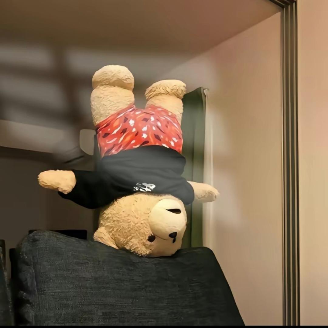 ㅤLion