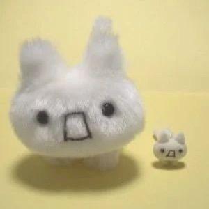莓的