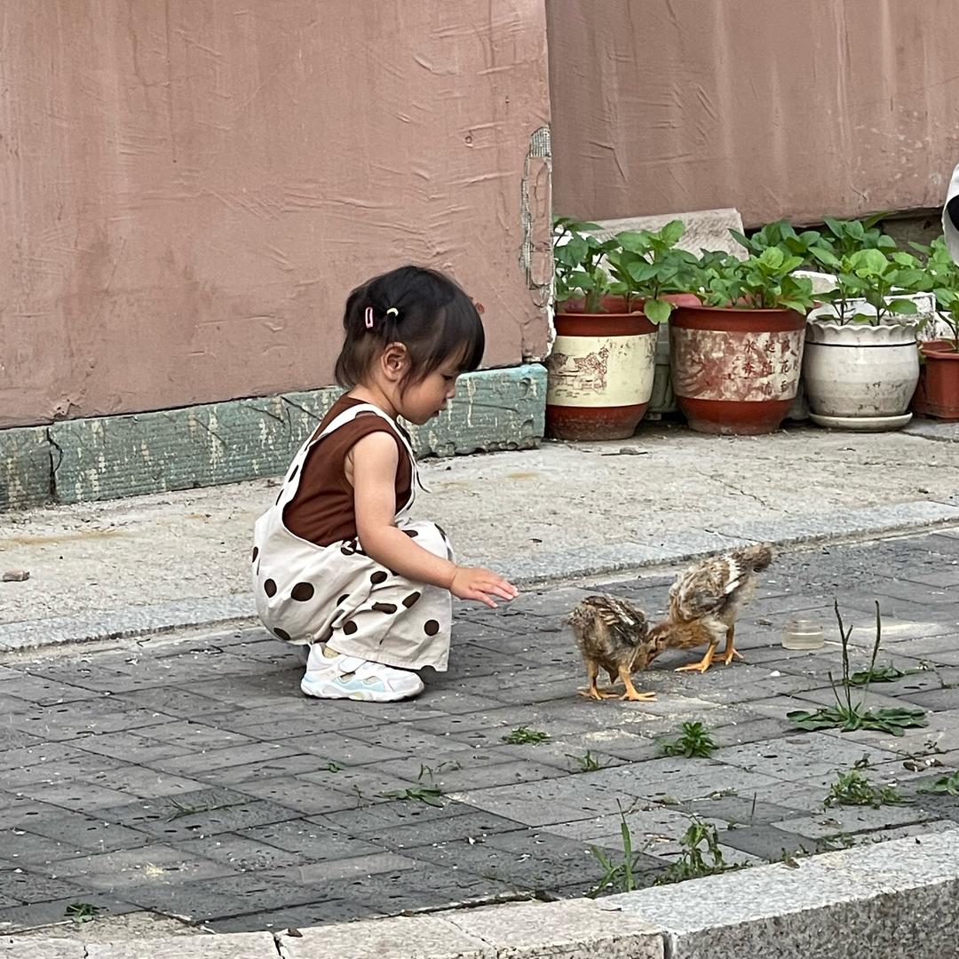 王伟男