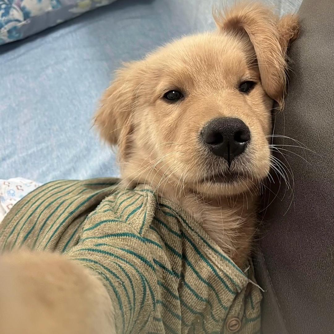 ？