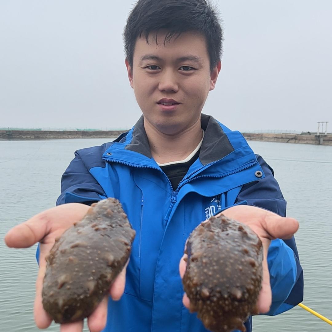 中天海参大海店