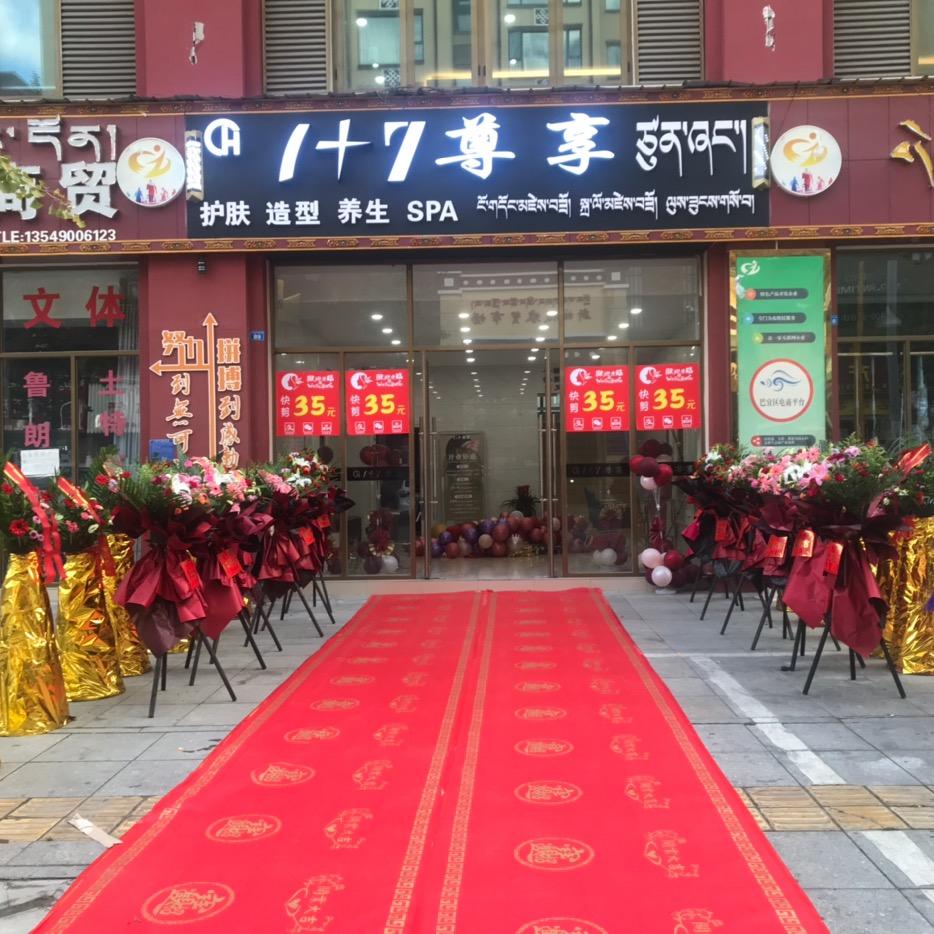 林芝市1+7尊享美发美容店