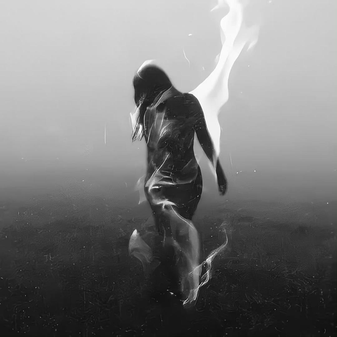 香菜.