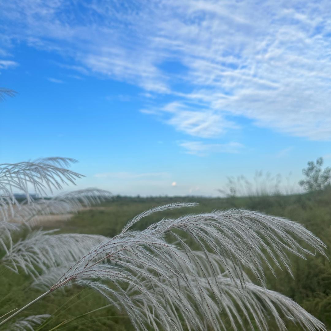 初见时你的模样