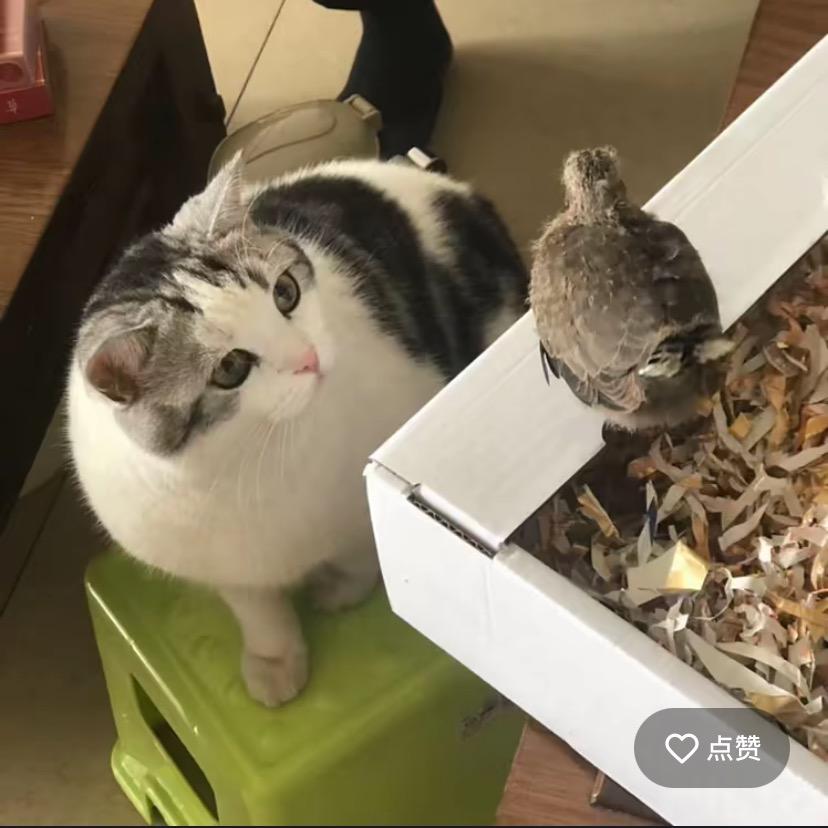 唯我独尊
