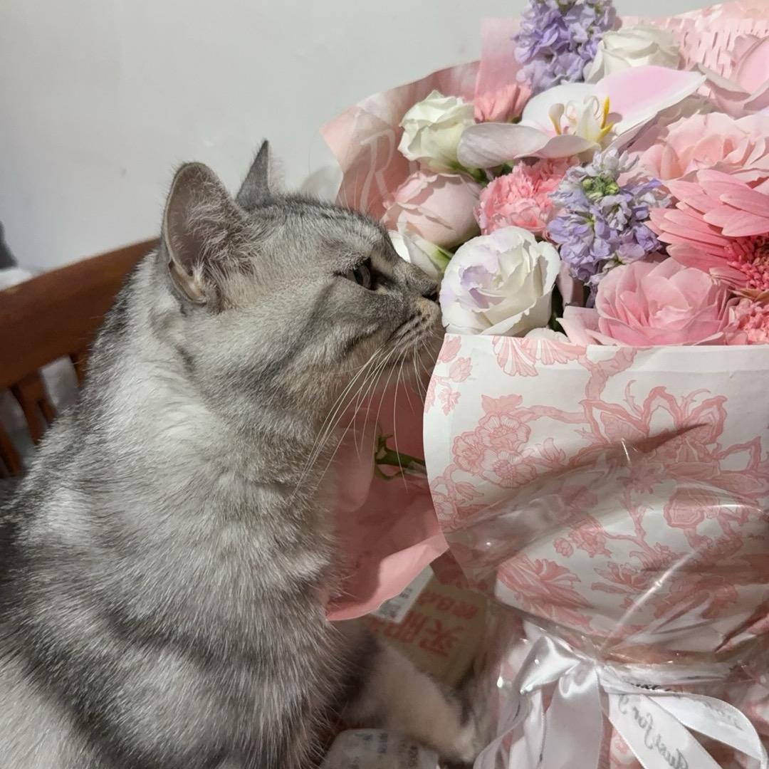 甜椒