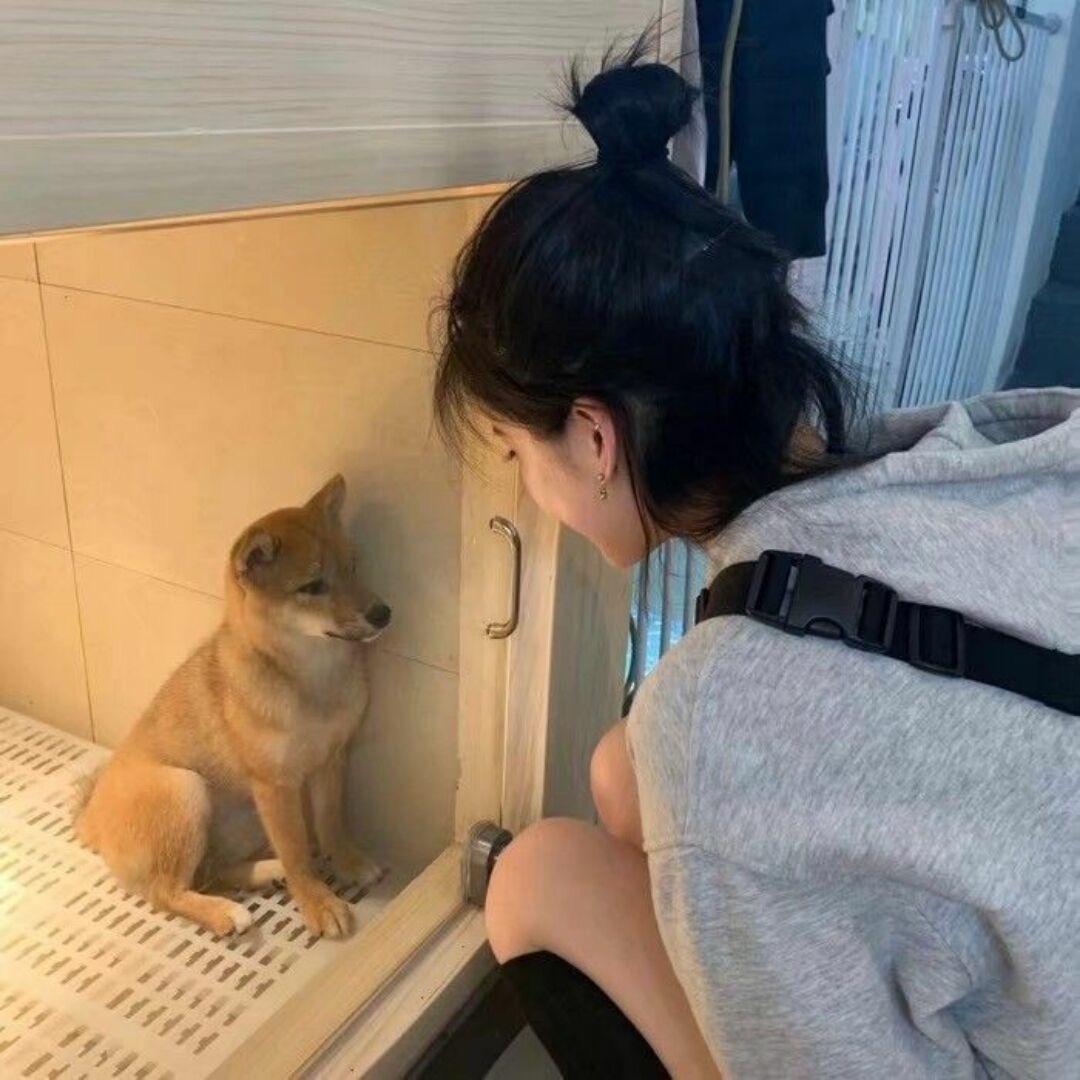 此木