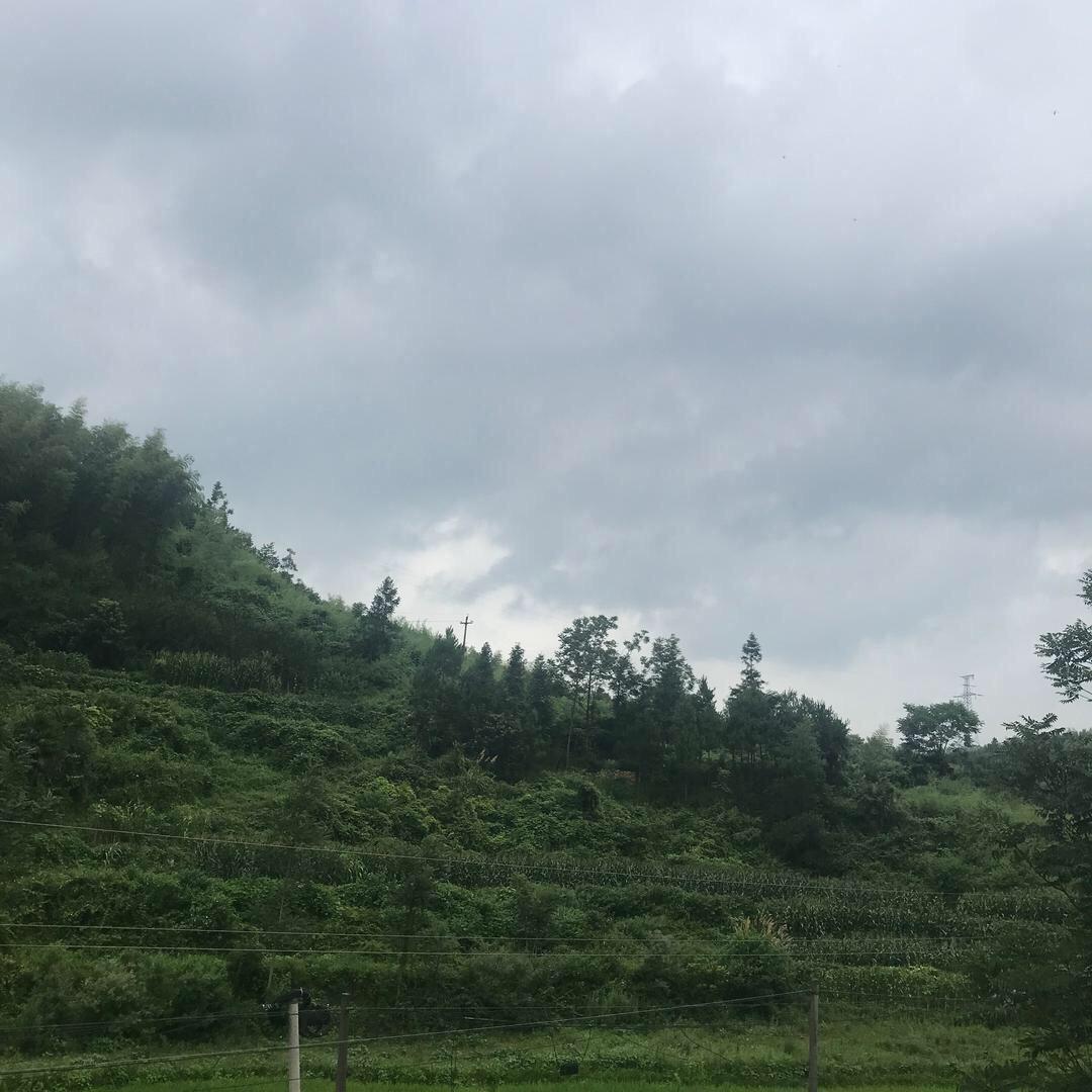 虎爸的随记文案
