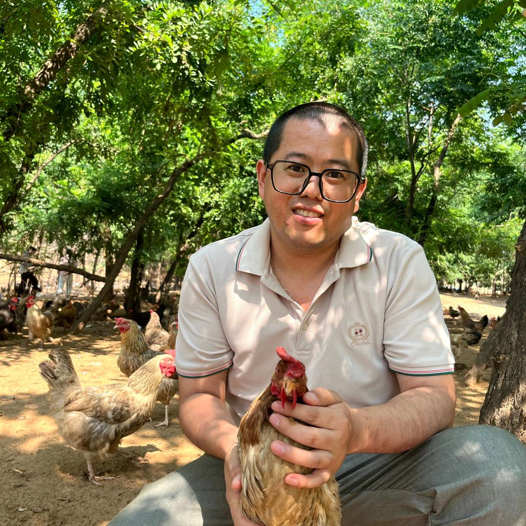 小李养鸡技术