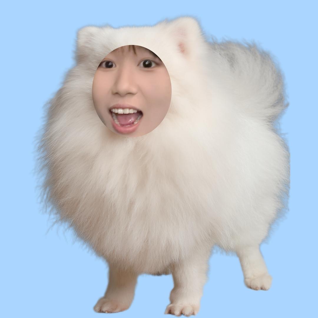 尼尼nini