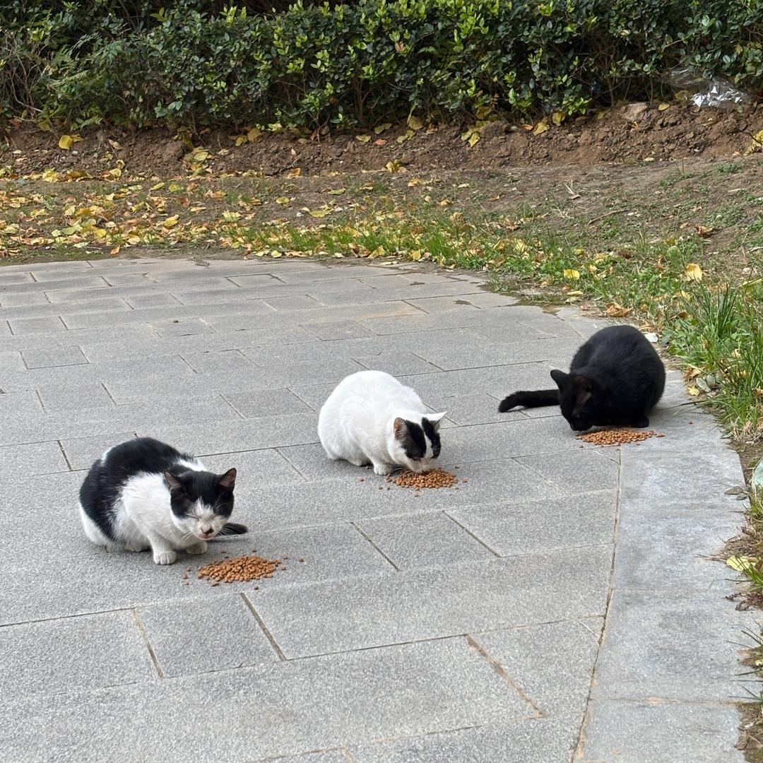 盈盈晚间驻颜课