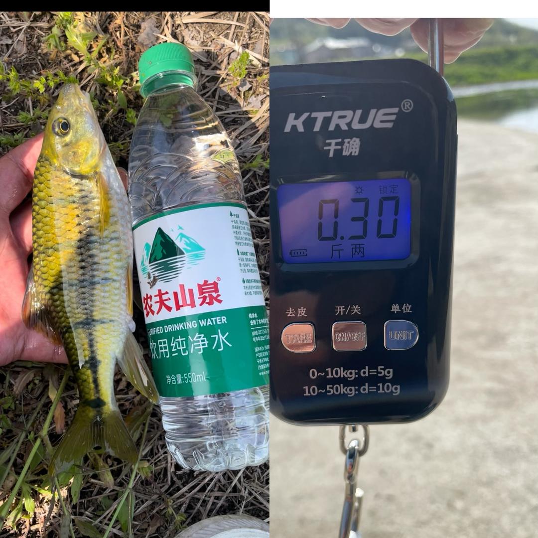 溪流🎣木 木