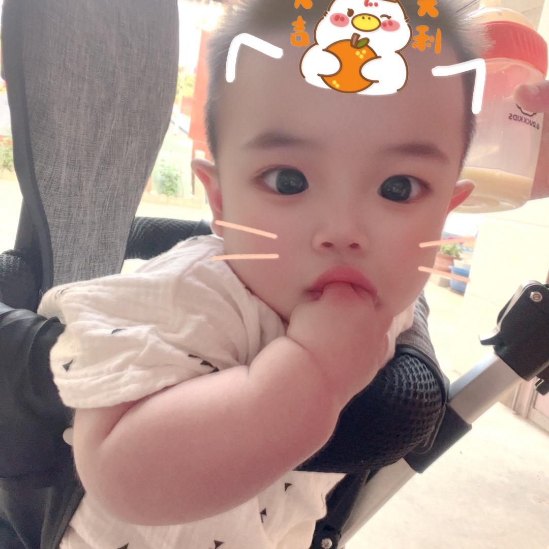 @小五🐯（上山中勿扰）