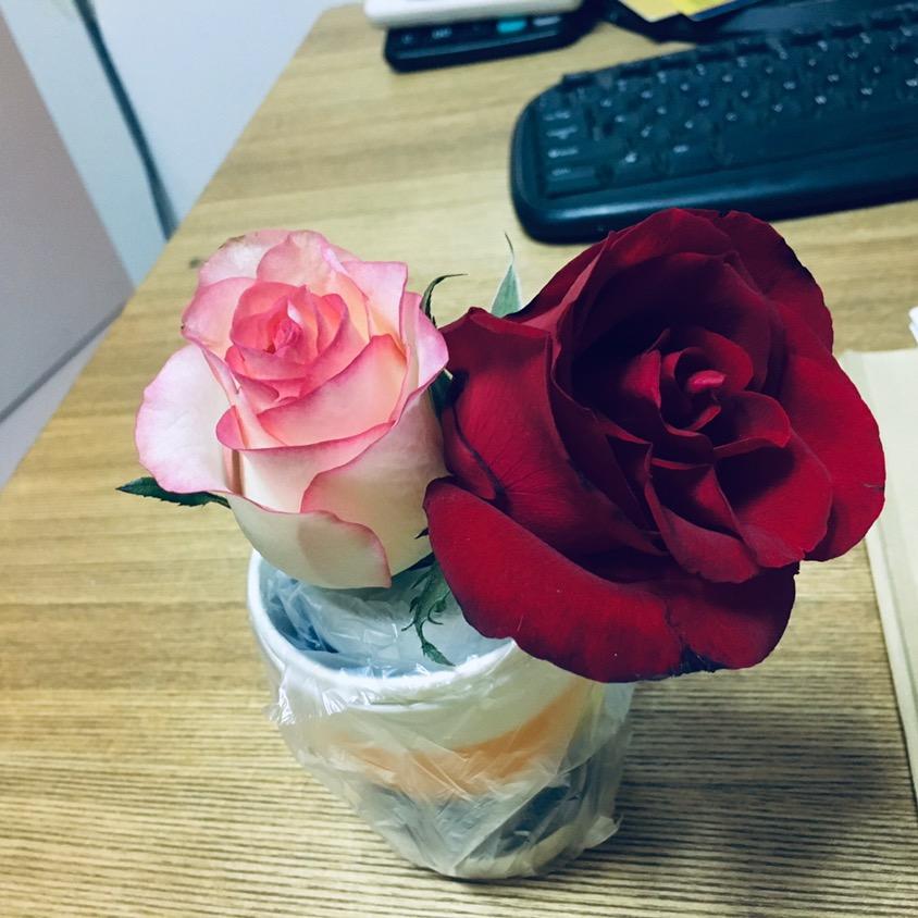 玫瑰🌹
