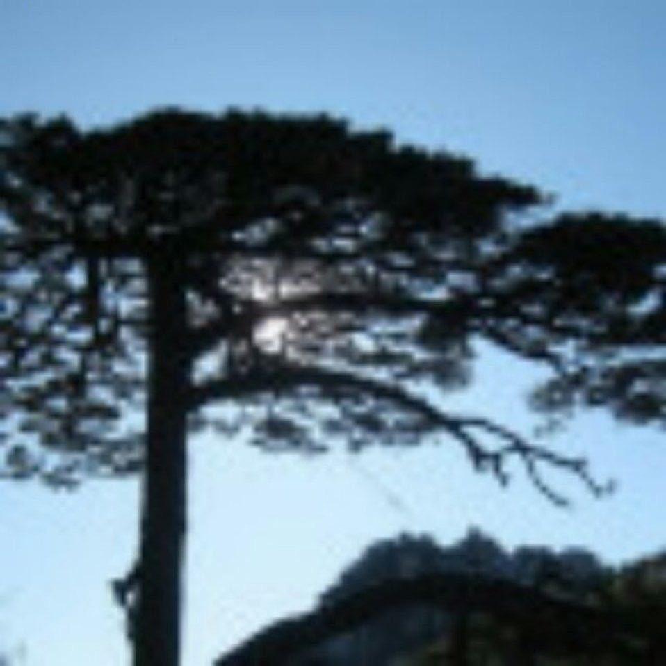 王爷🇨🇳🇨🇳🇨🇳