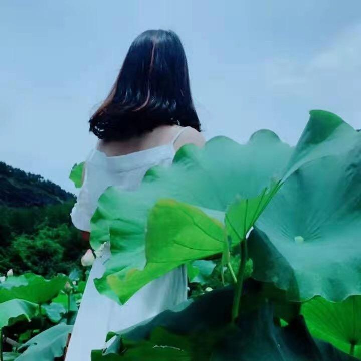 丹丹山歌（定制视频➕优盘)