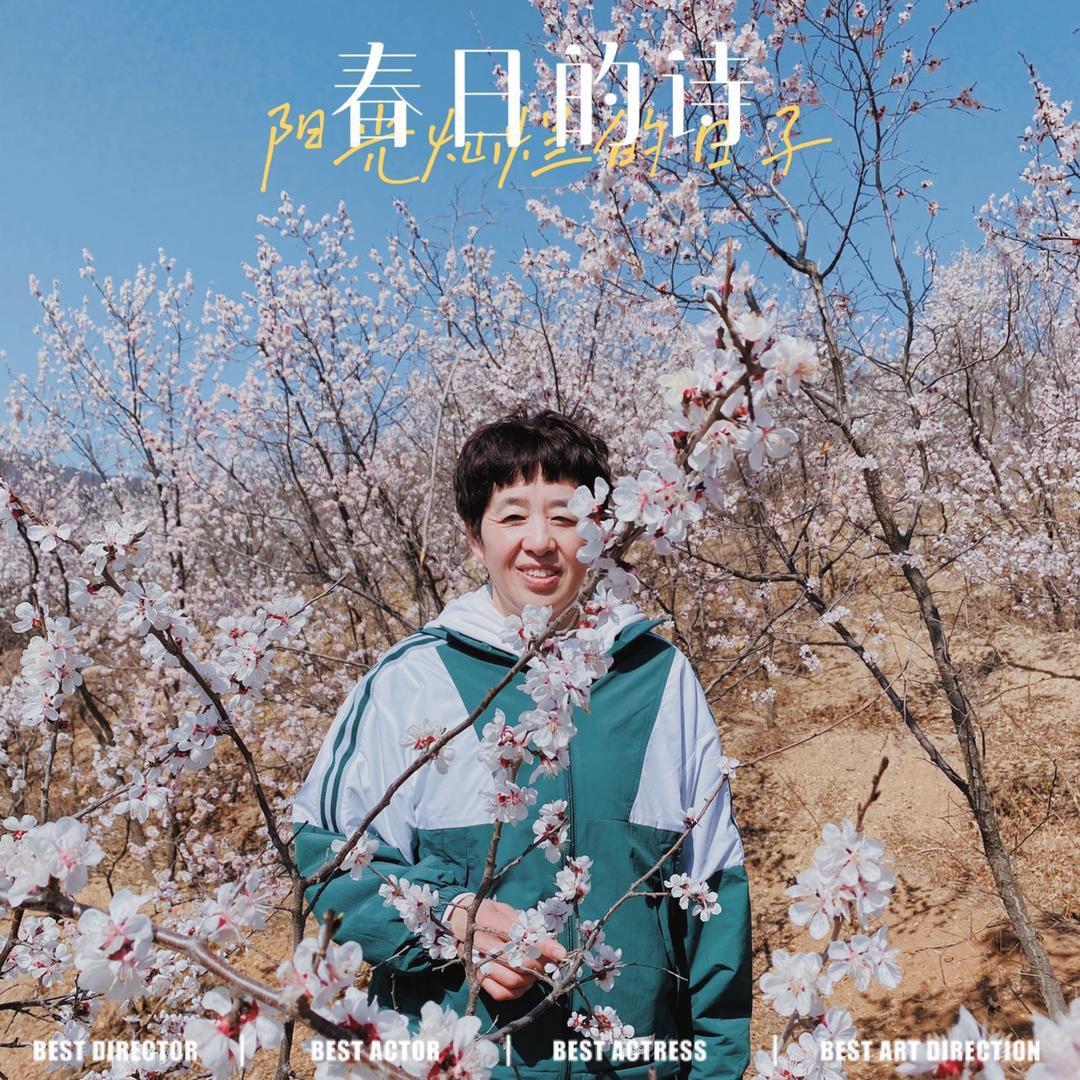 马姨出行