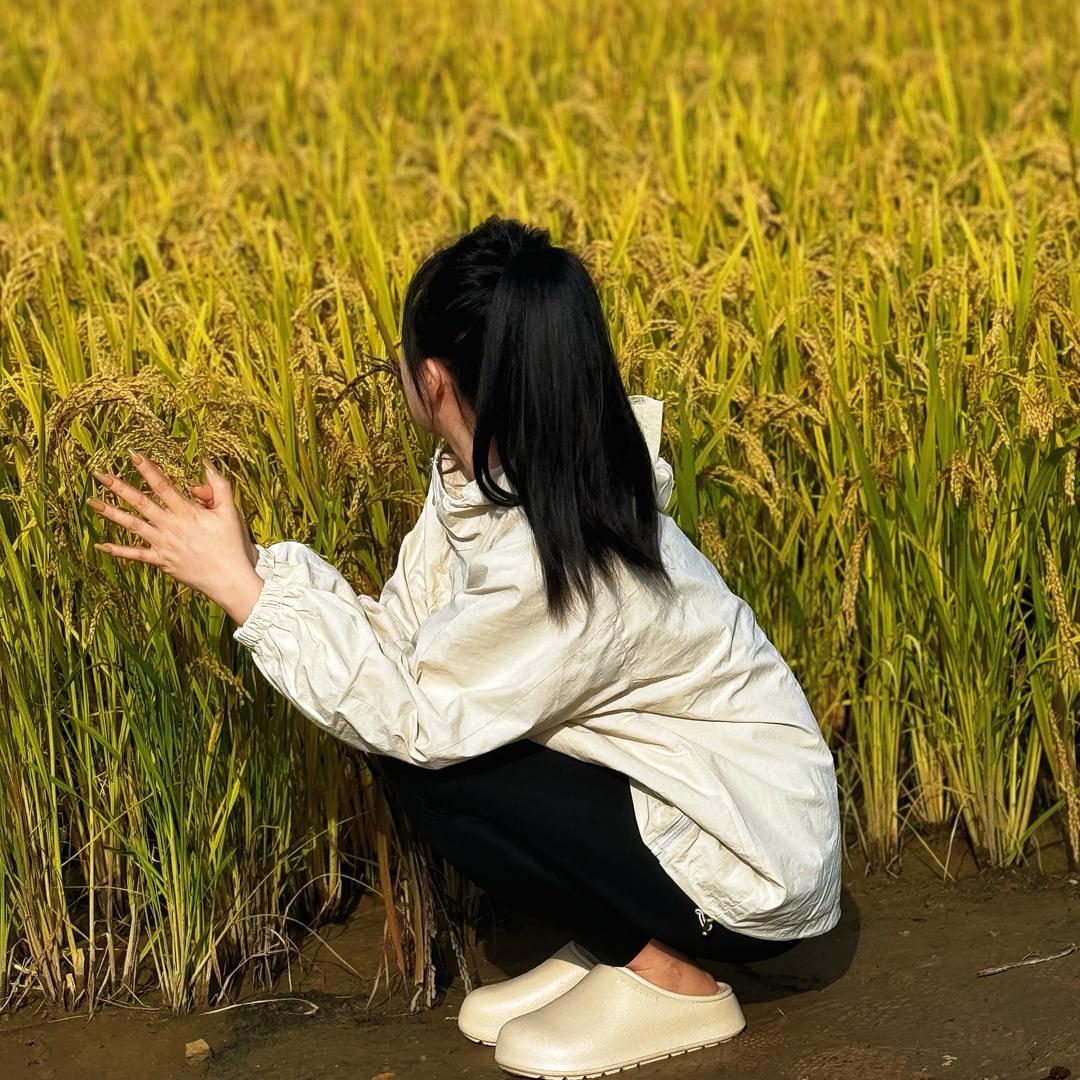 小七