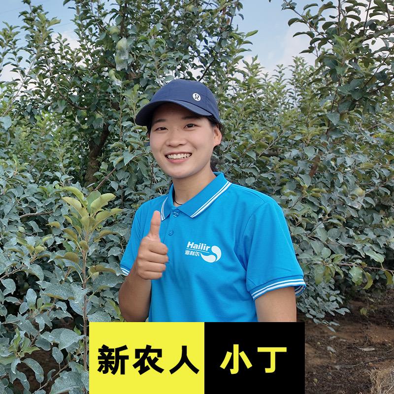 丁三亩农资（奥迪斯）