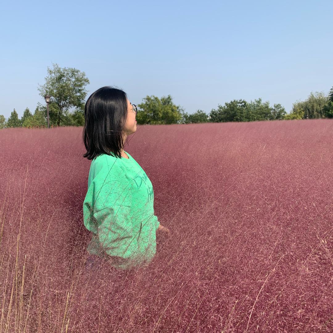 明媚儿