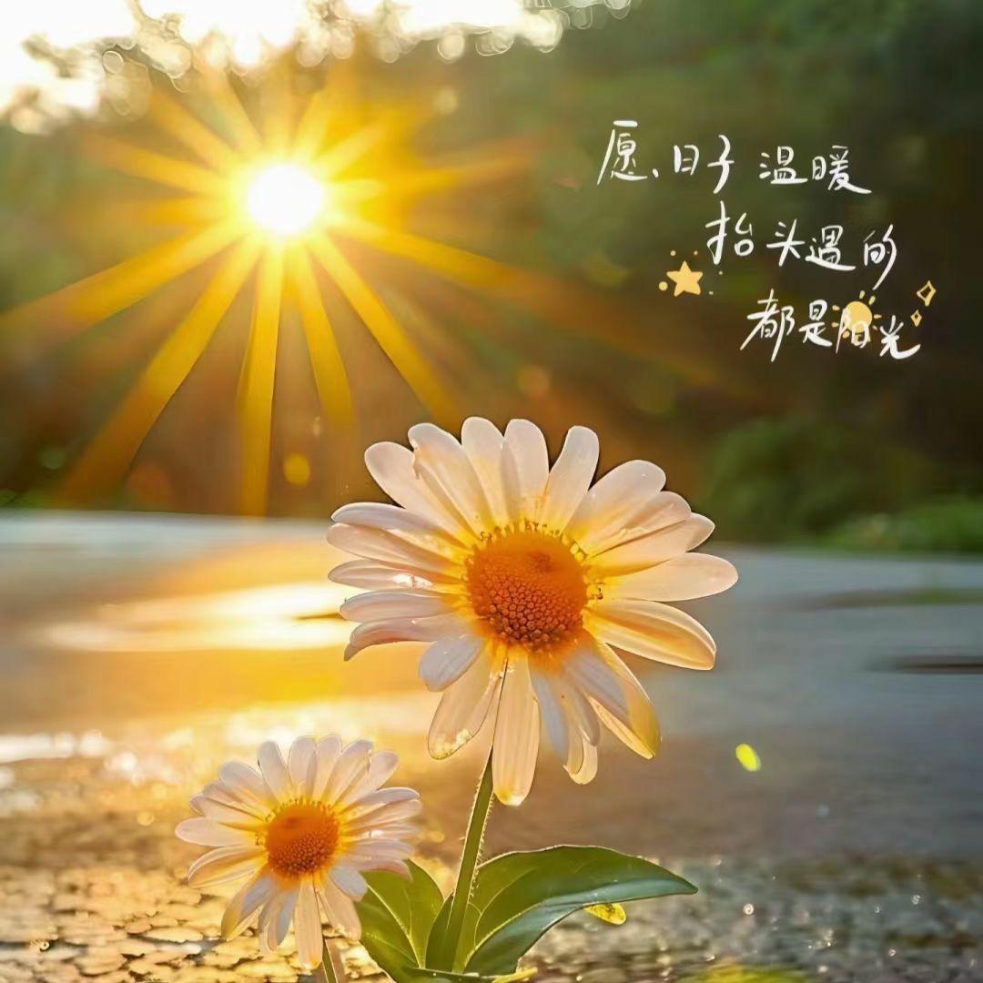 ꫛꫀ心想事橙🍊