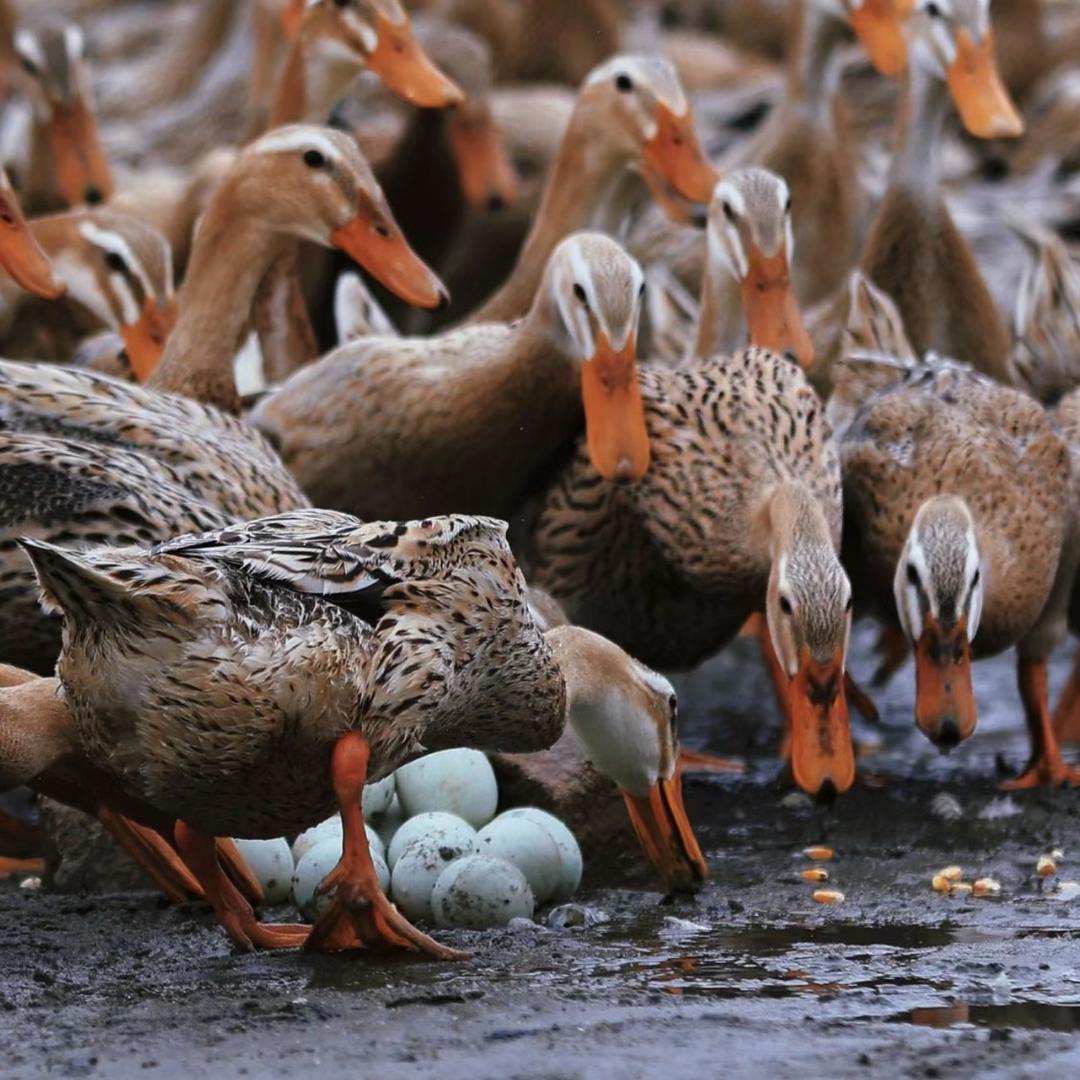 云南山货土特产
