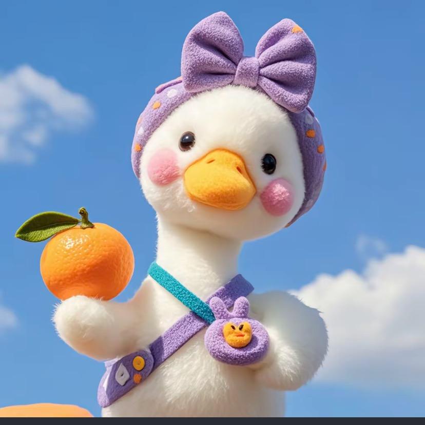 努力就是晴天鸭