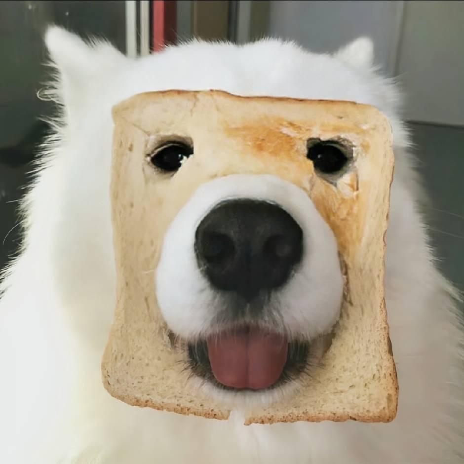我系纯冠希啊