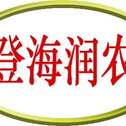 山东登海润农种业