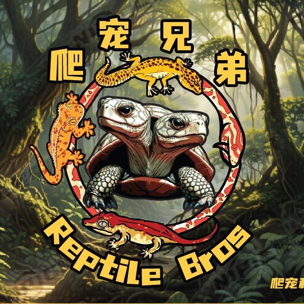 上虞爬宠兄弟张哥