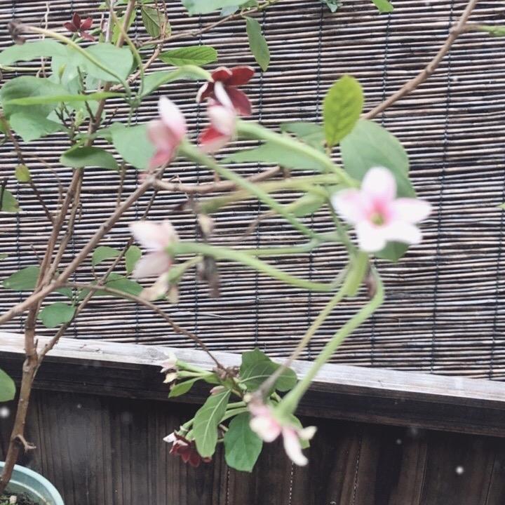 一生平安