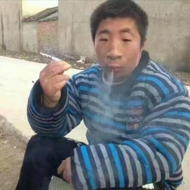 万物复苏.