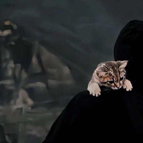 然总  （重生版）