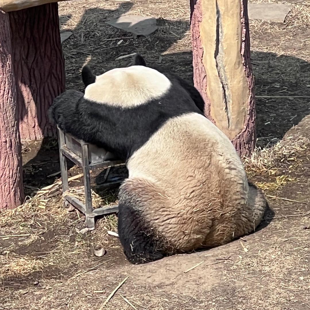 图图想了解