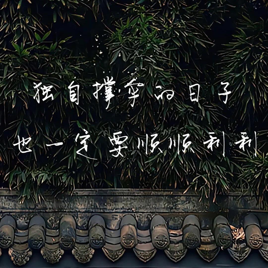 叙白