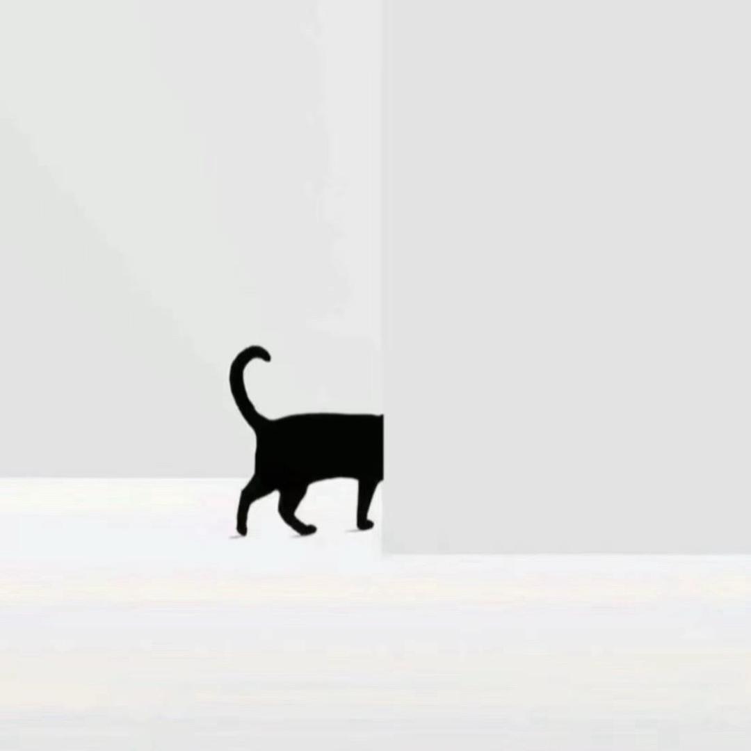赢