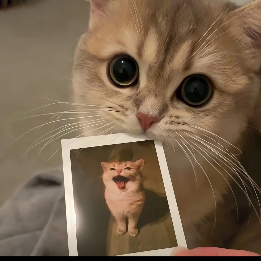 哈哈