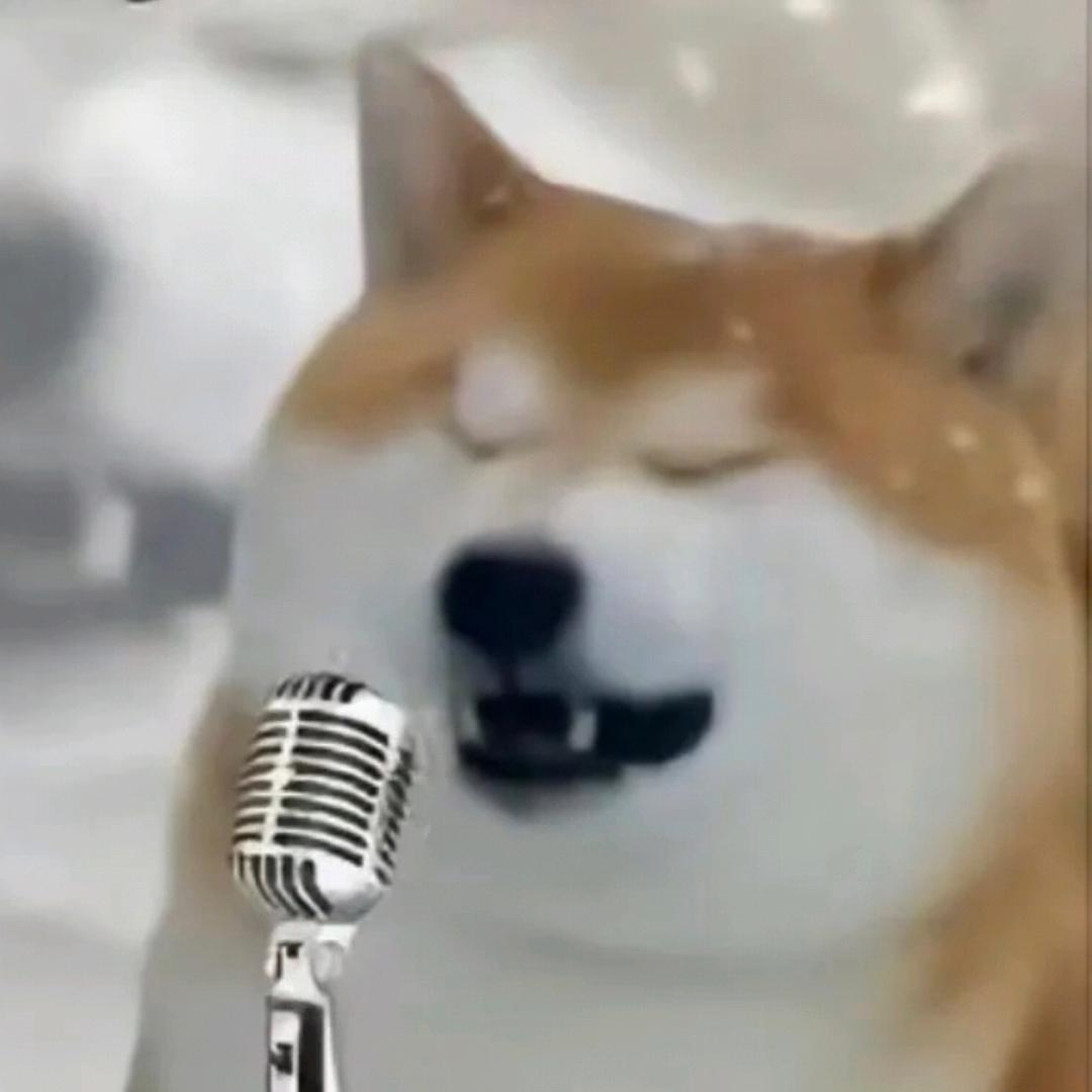 數學吃人