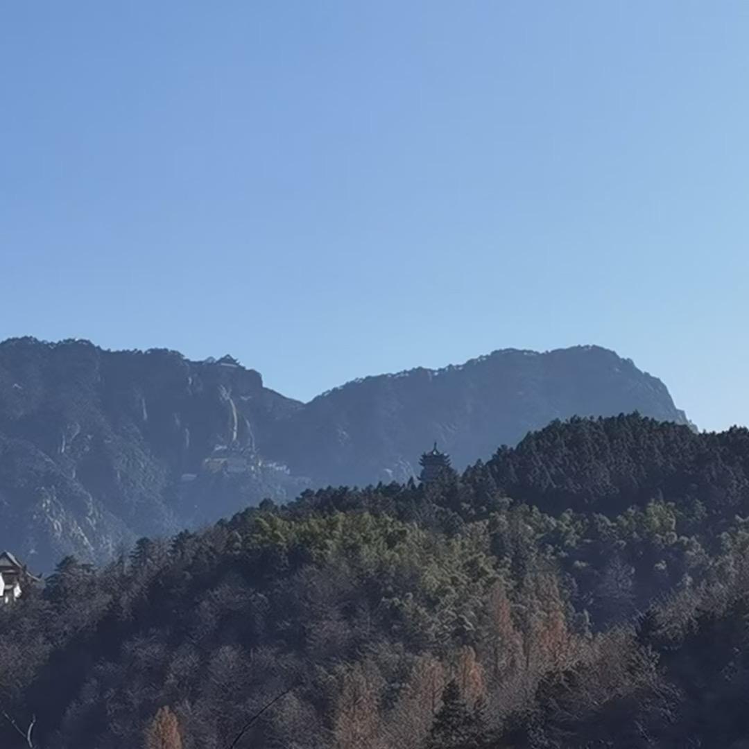 小米🍀