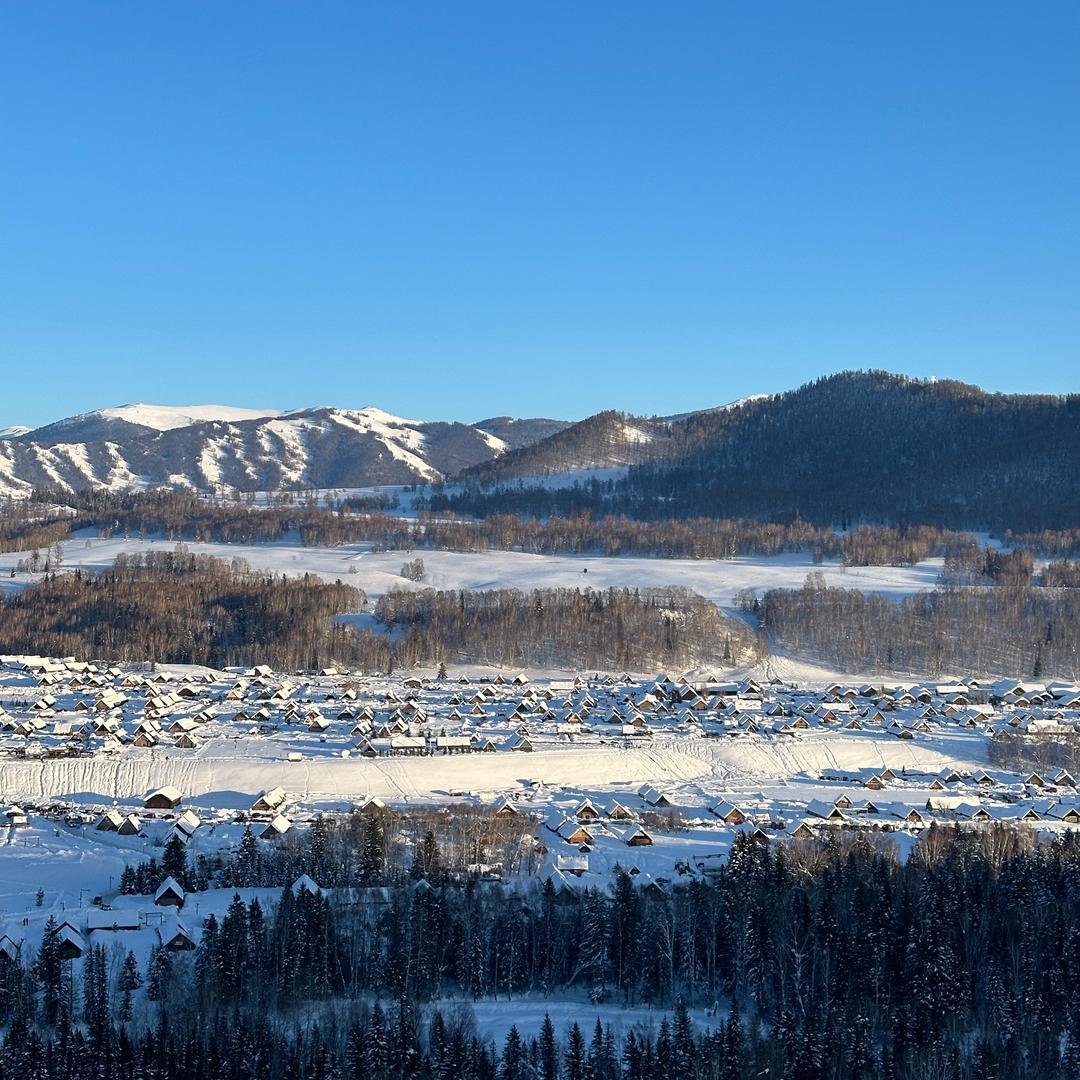 何以解忧，唯有退休