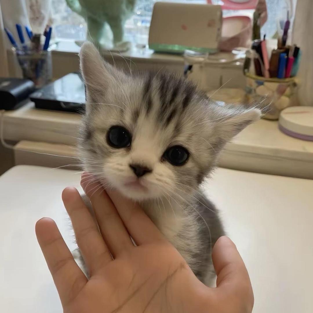 kiss