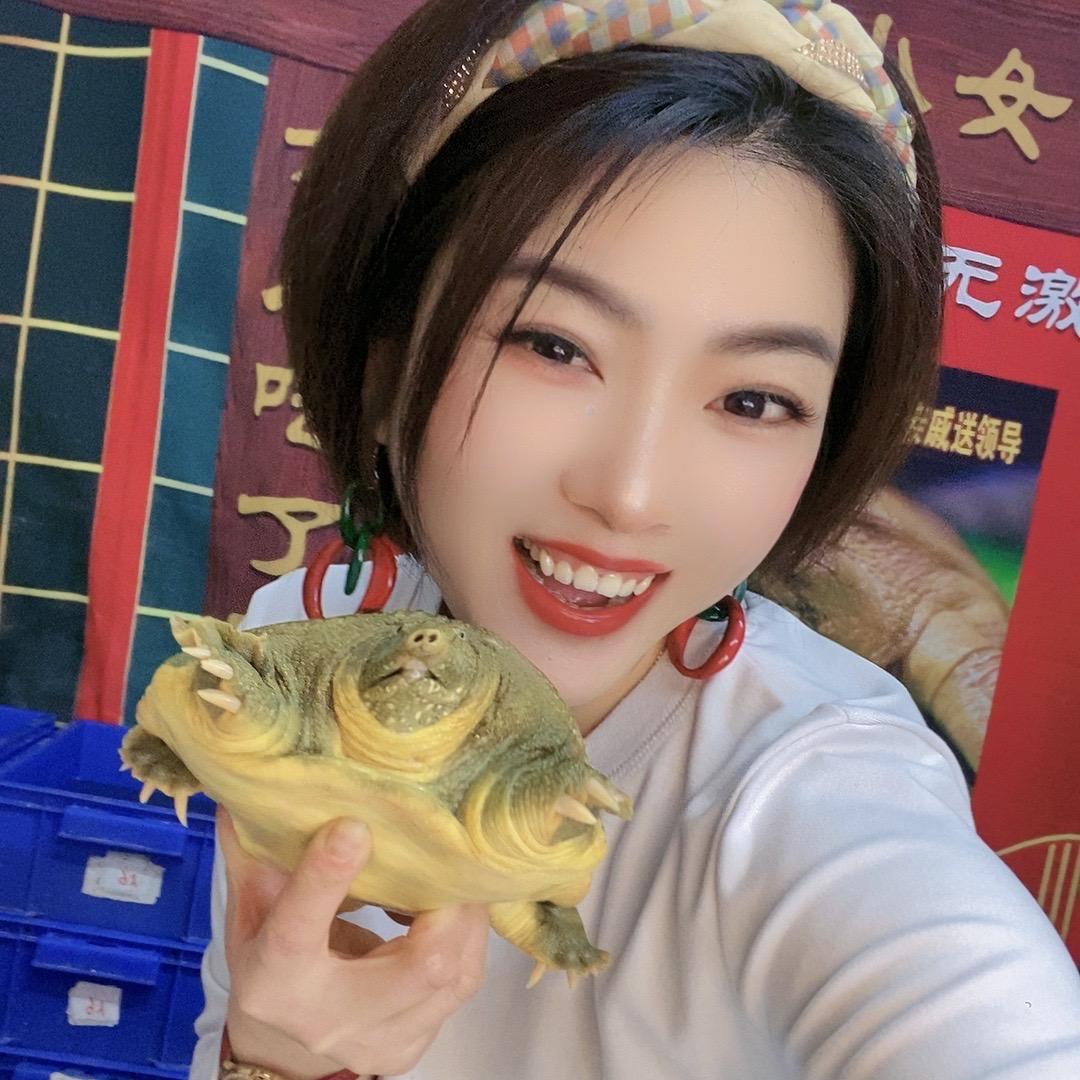 甲鱼小女皇正能量